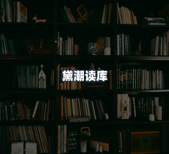 关于黛潮读库